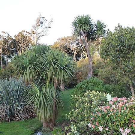 Tui Hideaway Bed & Breakfast Invercargill Luaran gambar
